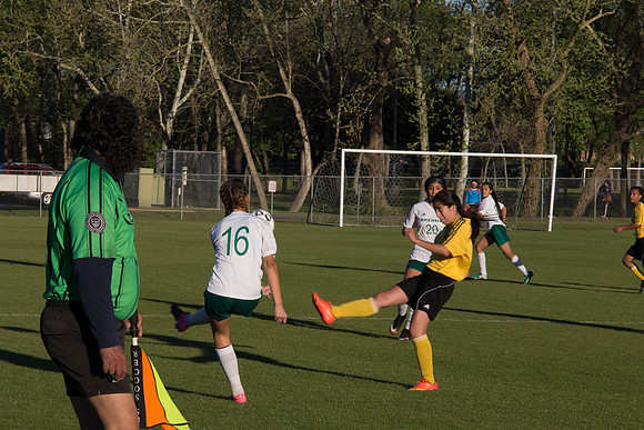 IMG_2291