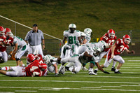 _MG_0230.1.jpg