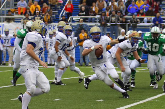 Picture 239