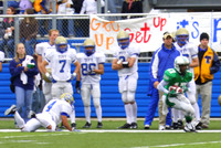 Picture 391