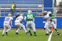Picture 099