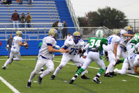 Picture 230