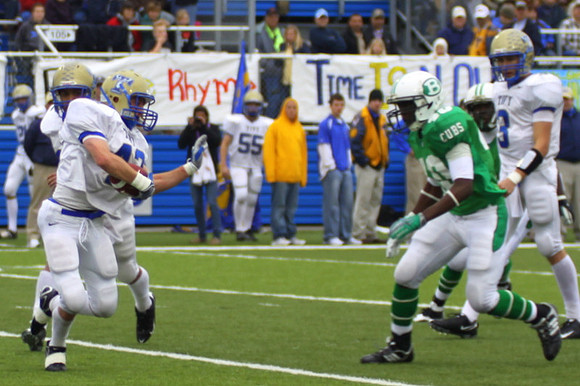 Picture 248