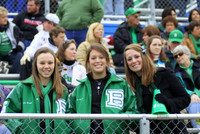 Picture 011.jpg
