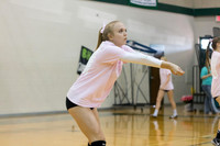 Dig Pink Spring Woods