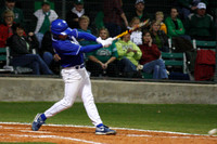 Katy Taylor Baseball